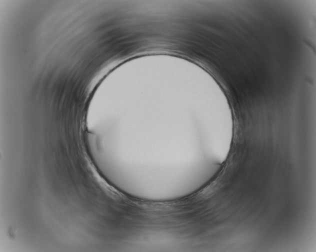X0000103491101200810241055