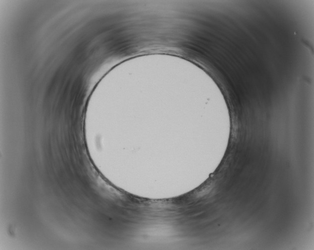 X0000103491102200810241055
