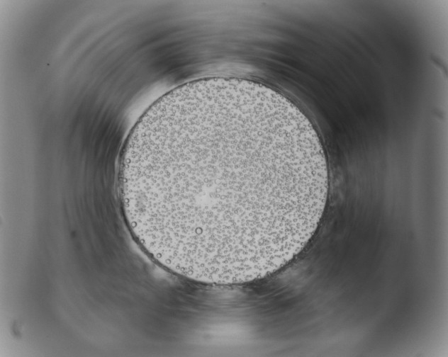 X0000103491103200810241055
