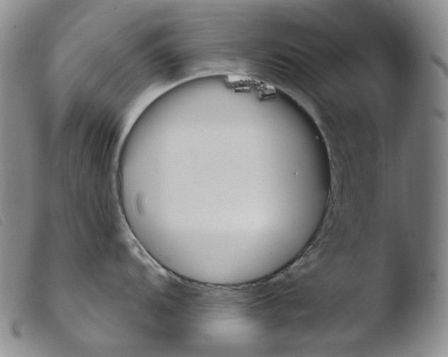 X0000103491104200810241055