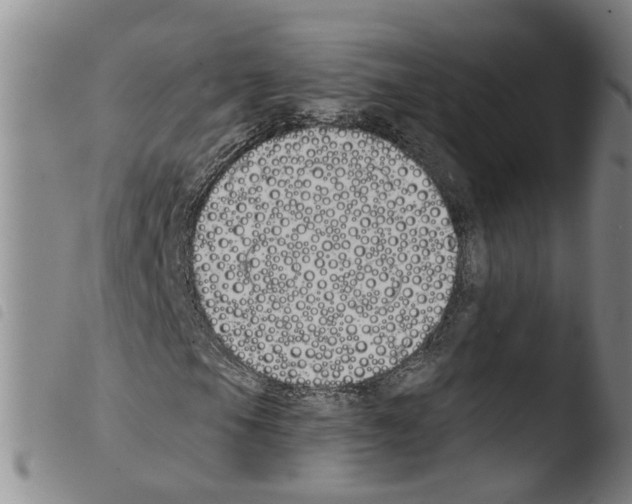 X0000103491105200810241055