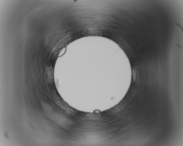 X0000103491107200810241055