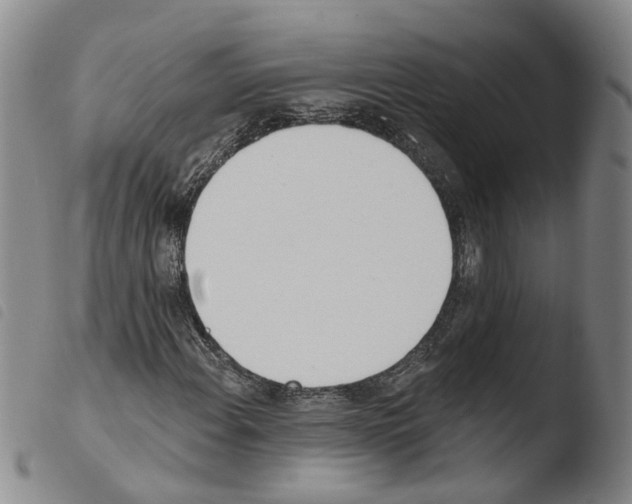 X0000103491108200810241055