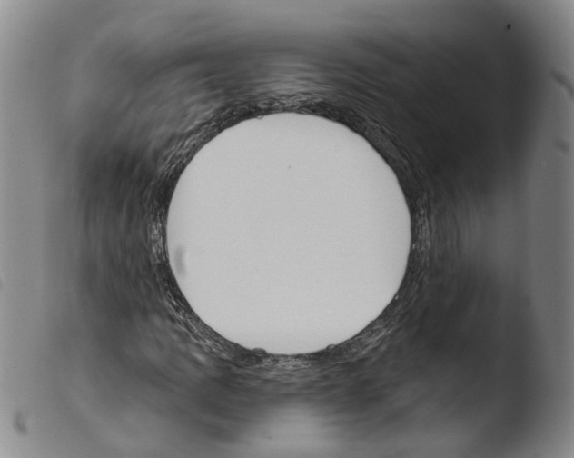 X0000103491109200810241055