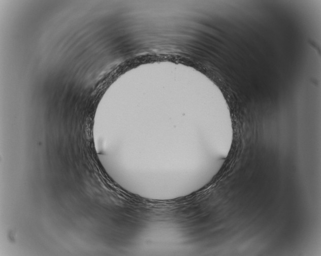 X0000103491110200810241055