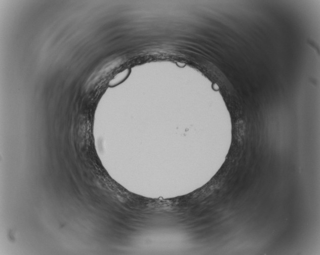 X0000103491111200810241055