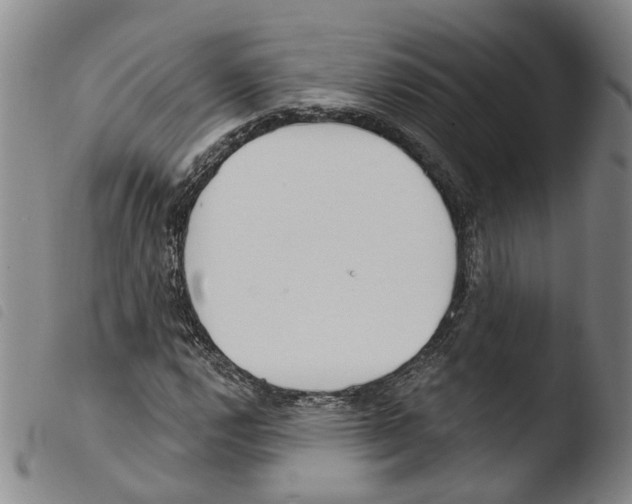 X0000103491112200810241055