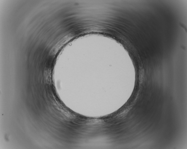 X0000103491113200810241055