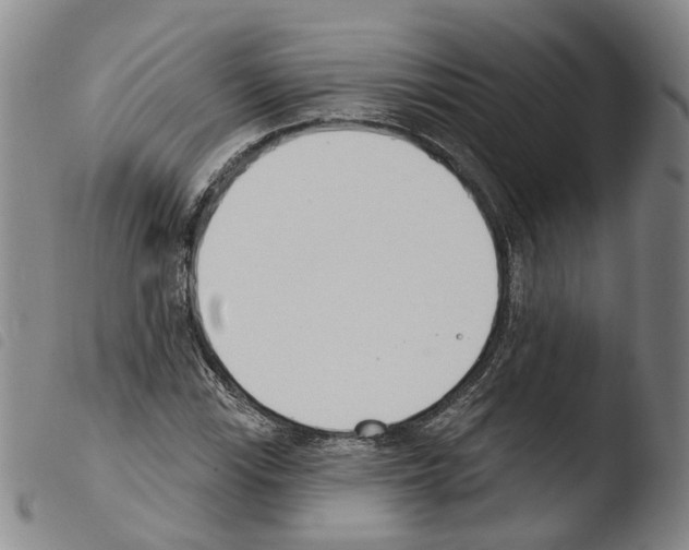 X0000103491115200810241055