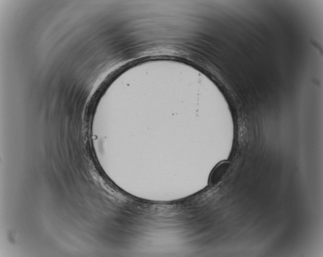 X0000103491116200810241055