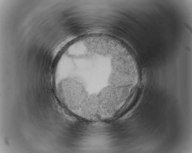 X0000103491117200810241055