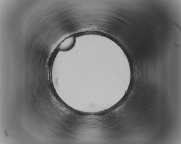 X0000103491118200810241055