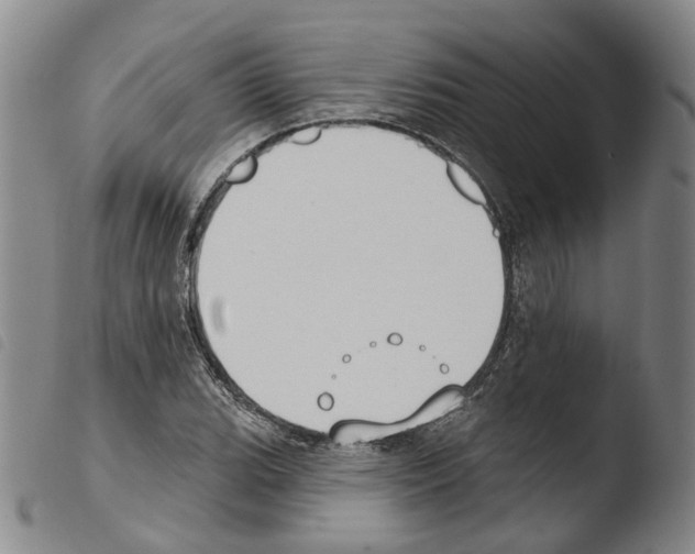 X0000103491119200810241055