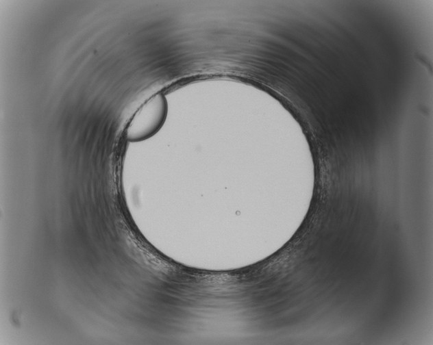X0000103491120200810241055