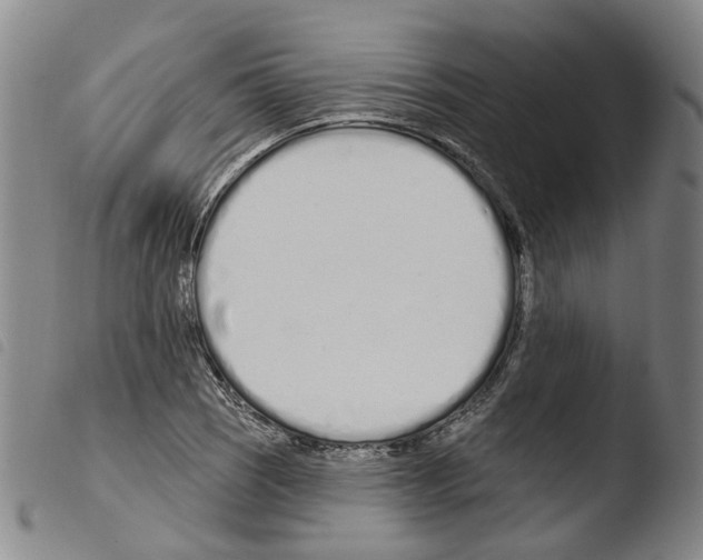 X0000103491121200810241055