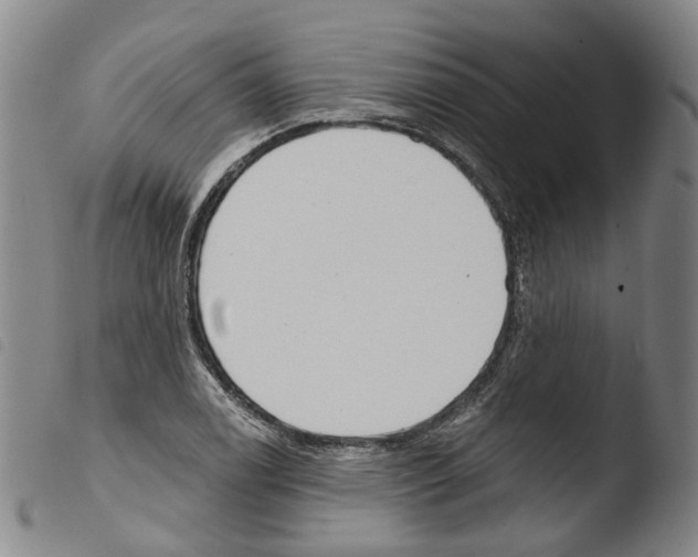 X0000103491122200810241055