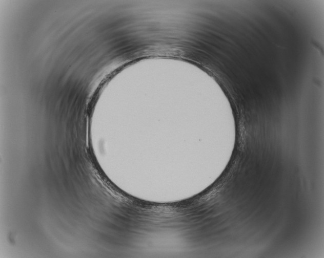 X0000103491123200810241055