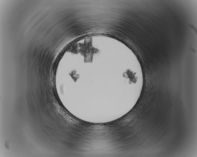 X0000103491124200810241055