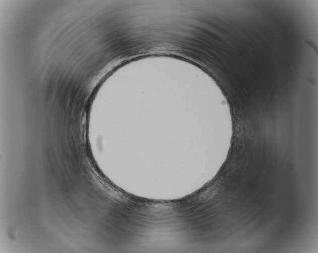 X0000103491126200810241055