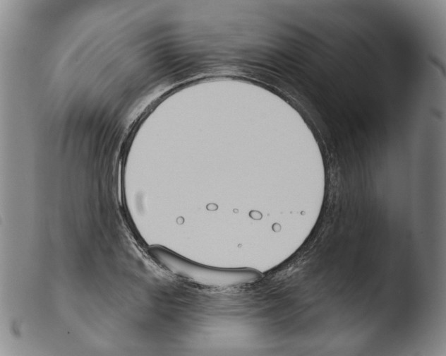 X0000103491127200810241055