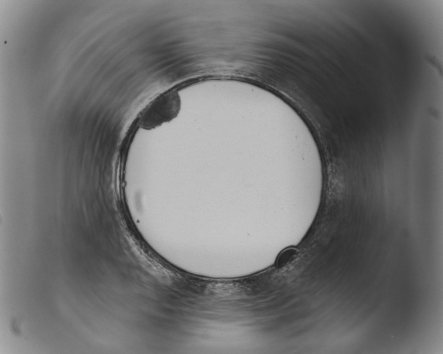 X0000103491128200810241055