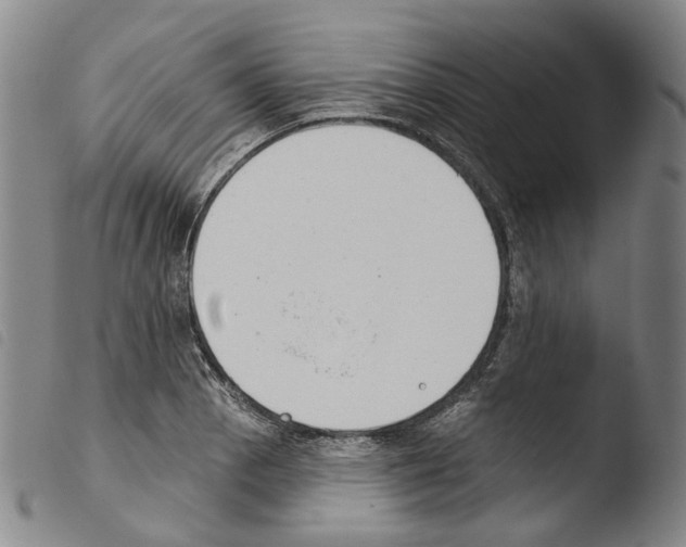X0000103491129200810241055