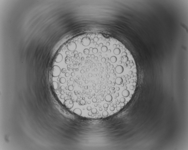 X0000103491130200810241055