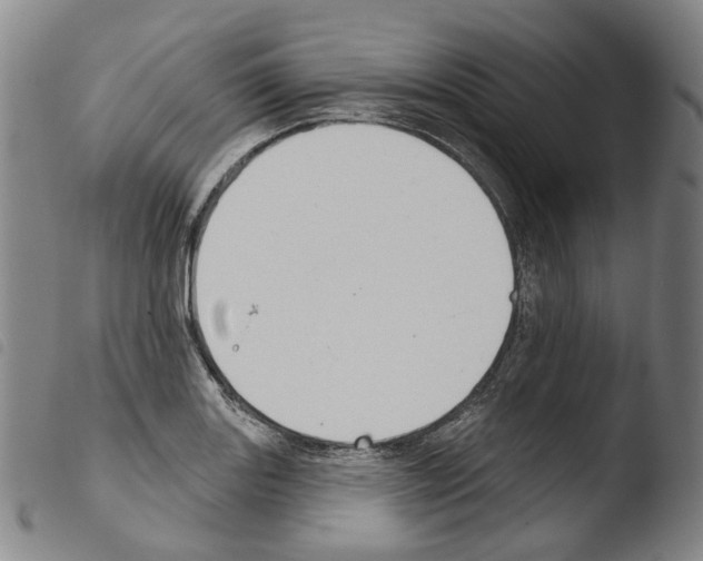 X0000103491131200810241055