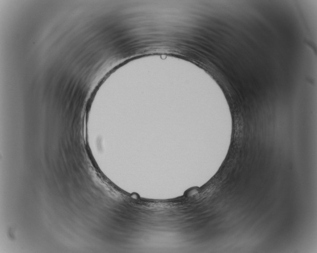 X0000103491132200810241055