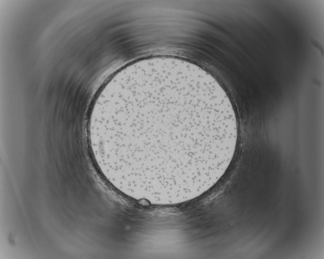 X0000103491133200810241055