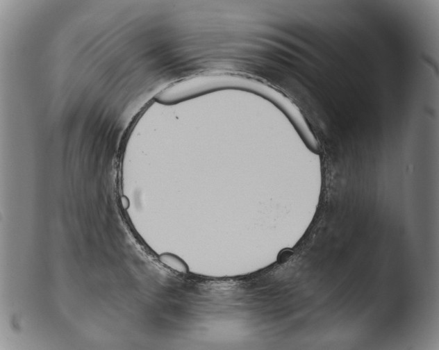 X0000103491134200810241055