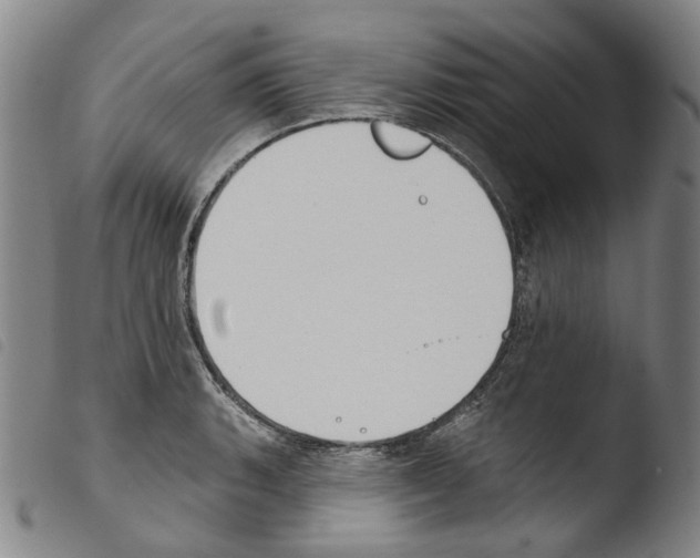 X0000103491135200810241055