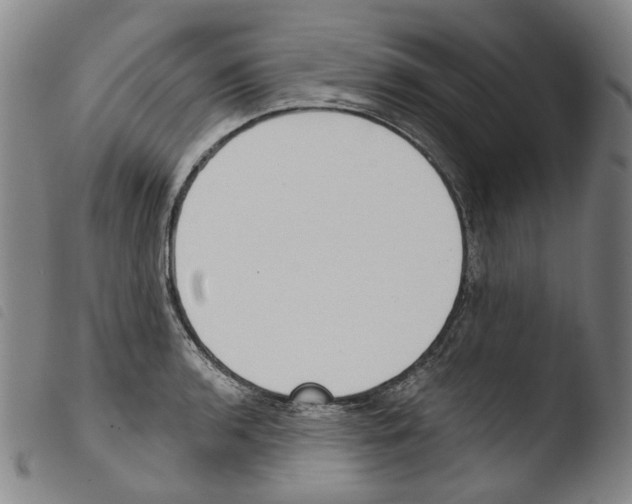 X0000103491136200810241055