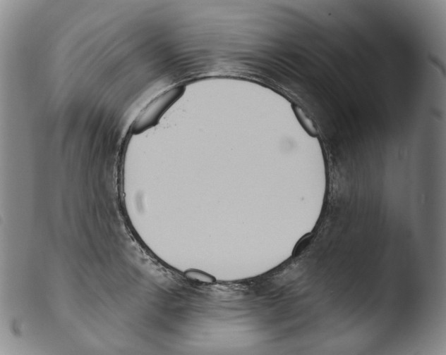 X0000103491138200810241055