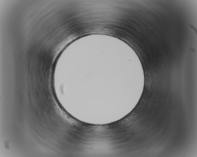 X0000103491139200810241055