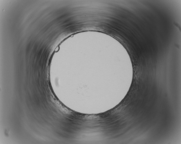 X0000103491140200810241055
