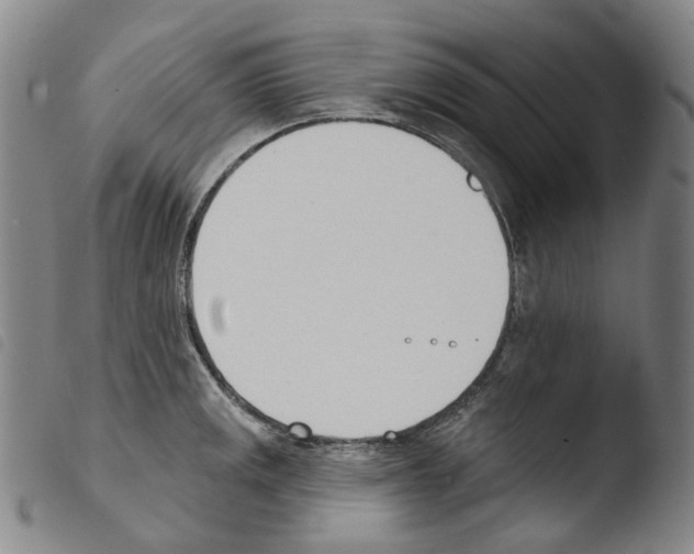 X0000103491141200810241055