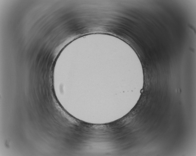 X0000103491142200810241055