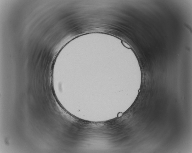 X0000103491143200810241055