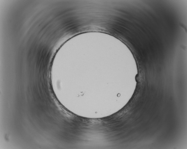 X0000103491144200810241055