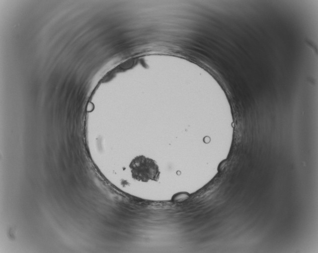 X0000103491146200810241055
