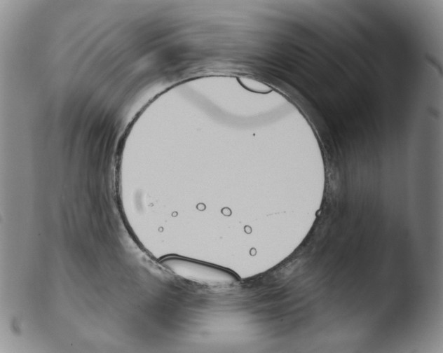 X0000103491147200810241055
