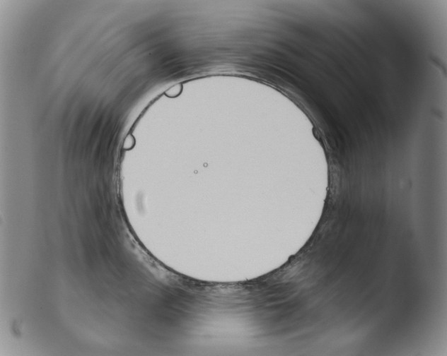 X0000103491148200810241055