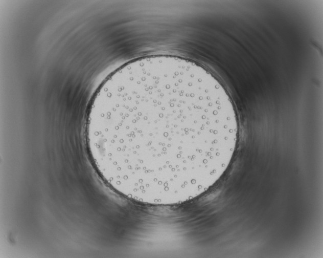 X0000103491149200810241055