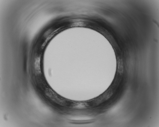 X0000103491150200810241055