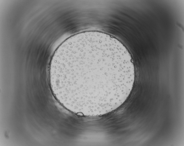 X0000103491151200810241055