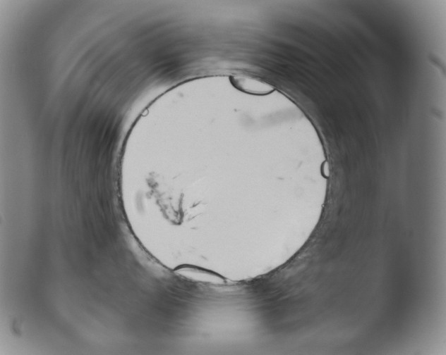 X0000103491152200810241055