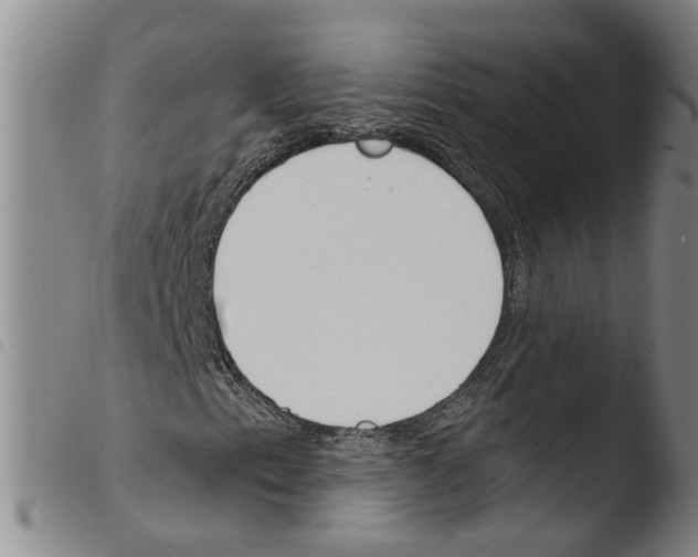 X0000103491153200810241055