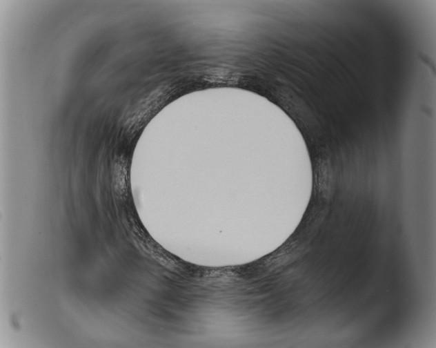 X0000103491154200810241055