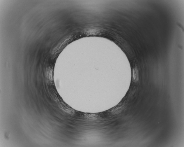 X0000103491155200810241055